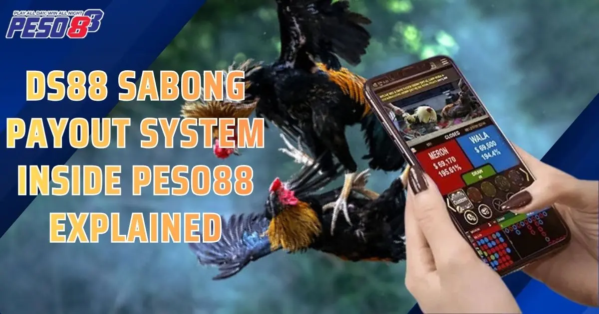 DS88 Sabong Payout System Inside Peso88 Explained