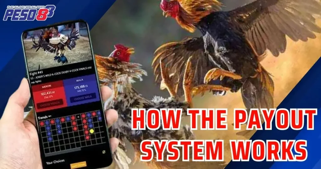How the Payout System Works