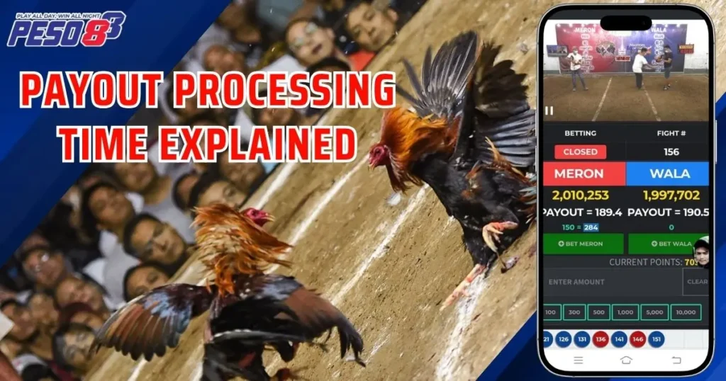 Payout Processing Time Explained
